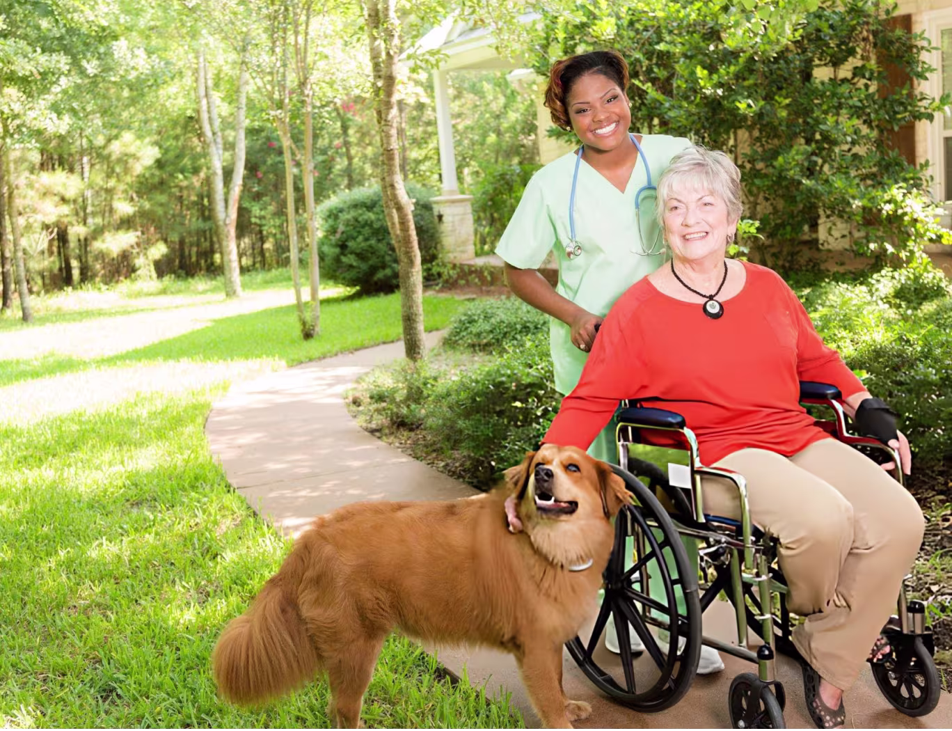 11. Pet and Plant Care